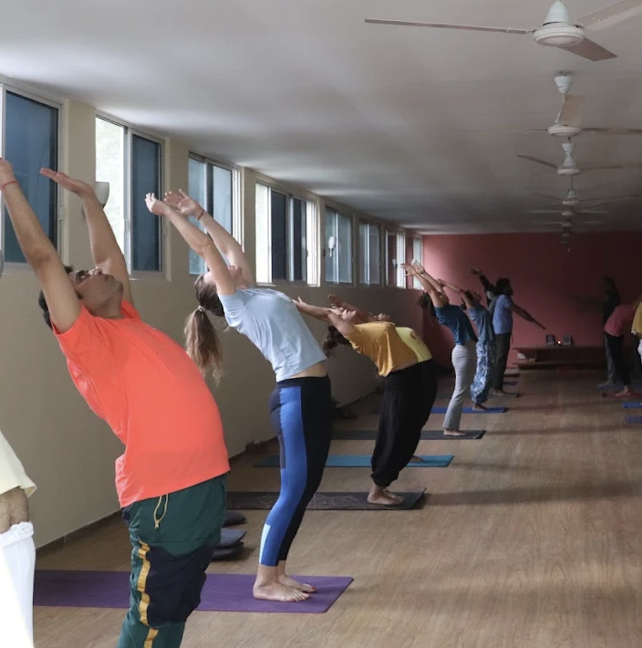Sivananda Yoga South Delhi 1