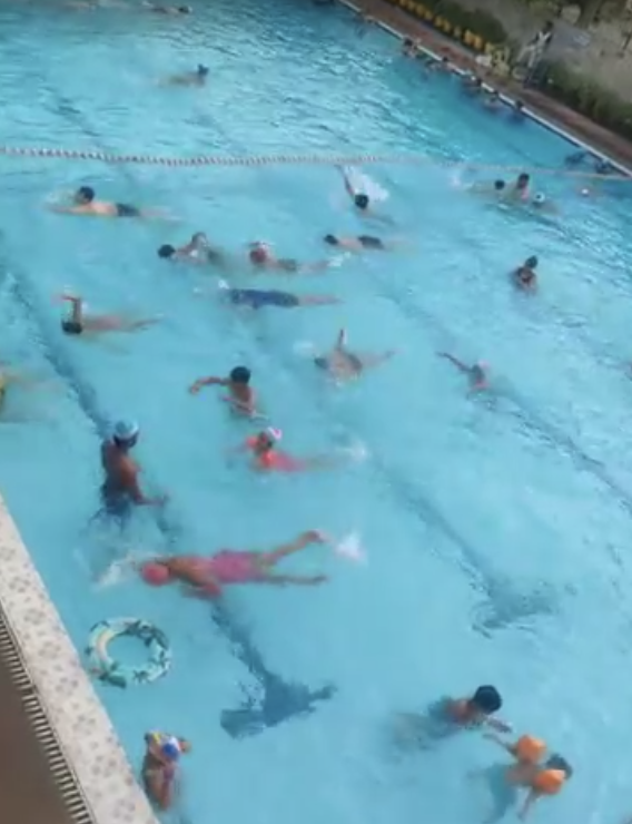 Dolphin Swimming Coaching Institute Delhi